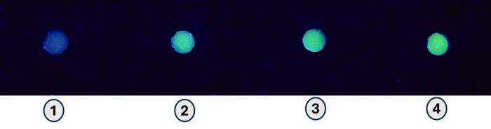 Luminescent paper discs under UV lamp