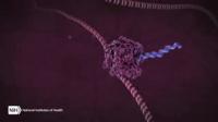 Unlocking the Mysteries of Extracellular RNA Communication