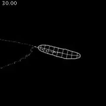 Brain-wide Map Ties Neurons to Behaviors (5 of 7)