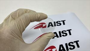 Transparent high-modulus glass fabricated by conventional melt-quenching