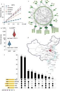 Figure 1. Analysis and products of flavonoids in wheat accessions.