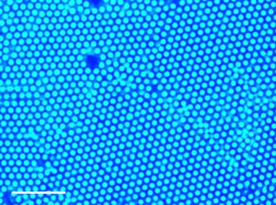 Organized Particles
