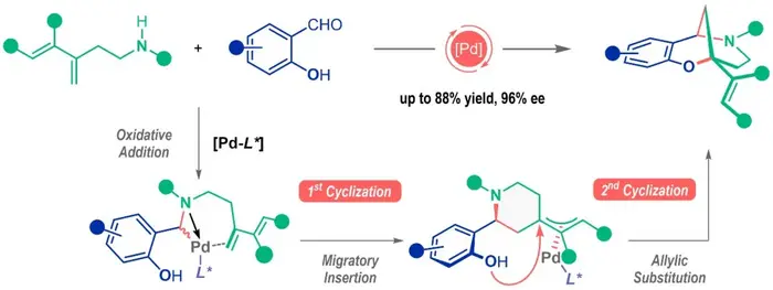 Modular assembly of chiral nitrogen-bridged rings achieved by palladium-catalyzed diastereoselective and enantioselective cascade cyclization reactions