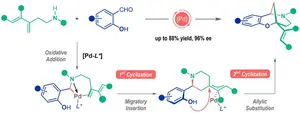 Modular assembly of chiral nitrogen-bridged rings achieved by palladium-catalyzed diastereoselective and enantioselective cascade cyclization reactions