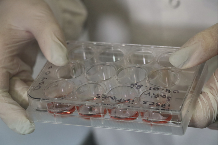 Petri dish with tissue samples