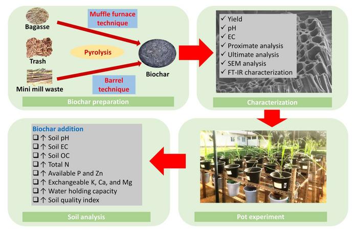 Sugarcane biomass-derived biochar for soil quality enhancement in sugarcane-growing soil