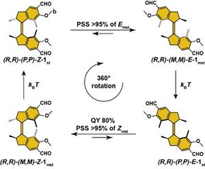 Rotary cycle of the new, more efficient light-driven motor molecule
