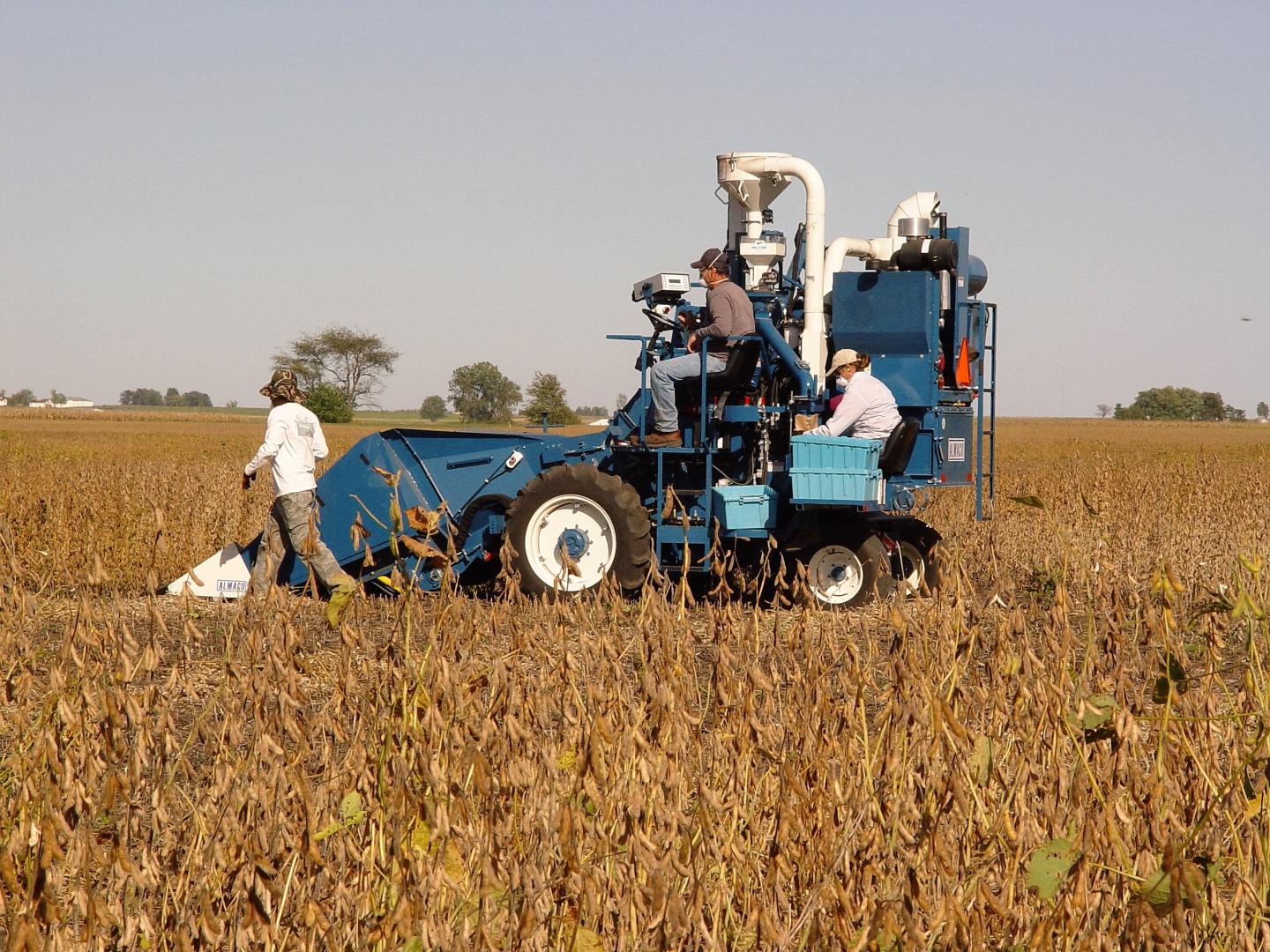 Soy Harvest