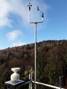 Weather stations provided the climate data: during the study period, average temperatures rose at the forest sites, while annual rainfall declined in most cases. Both these trends are typical of the local climate change.