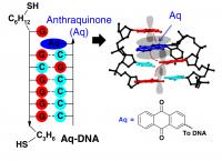 How to Create a DNA Switch