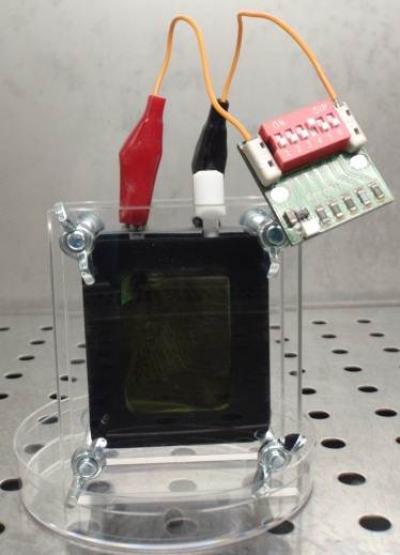 Microbial Fuel Cell