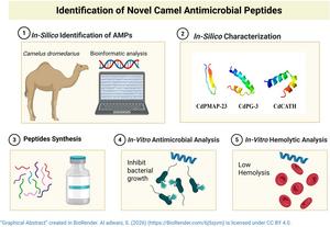 Identification of Novel Camel Antimicrobial Peptides