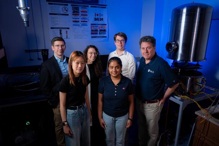 Rice University Cross-Disciplinary Team