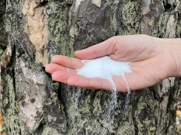 Table salt, sodium chloride