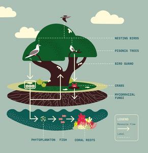 Graphical abstract