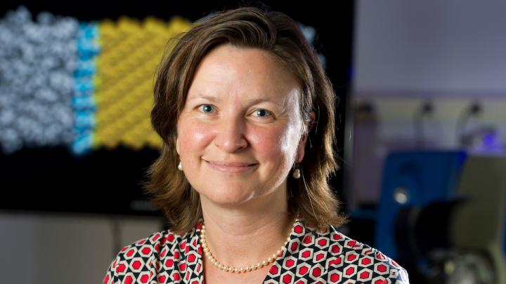 Patricia Clark,  University of Notre Dame 