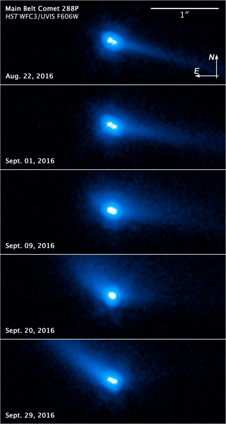 Asteroid or Comet? Both.