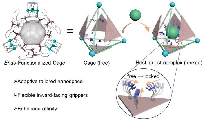 Efficient binding of organic molecules by tailored-adaptive nanospace in nonaqueous media.