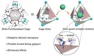 Efficient binding of organic molecules by tailored-adaptive nanospace in nonaqueous media.