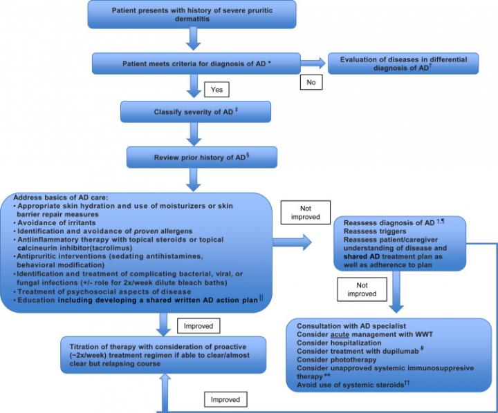 Annotated Algorithm for the Patient with Severe AD