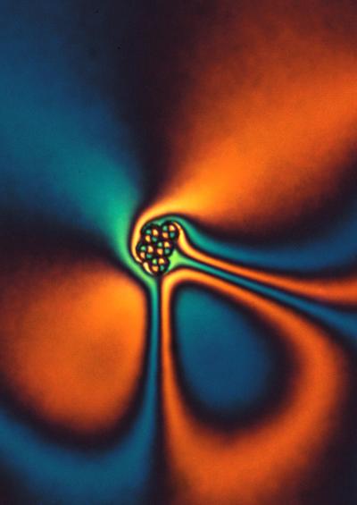 Polarized Light in a Liquid Crystal