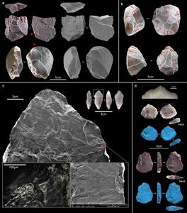 Cores and tools. (a) Core-on-flake; (b) Discoid core; (c) Tanged borer; (d) Backed borer