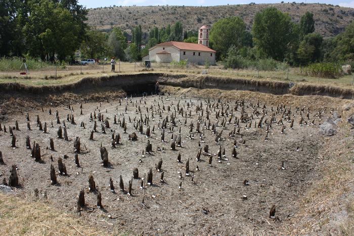 The pile field at the site of Dispilio