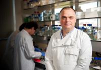 Jose Bengoechea, Queen's University Belfast