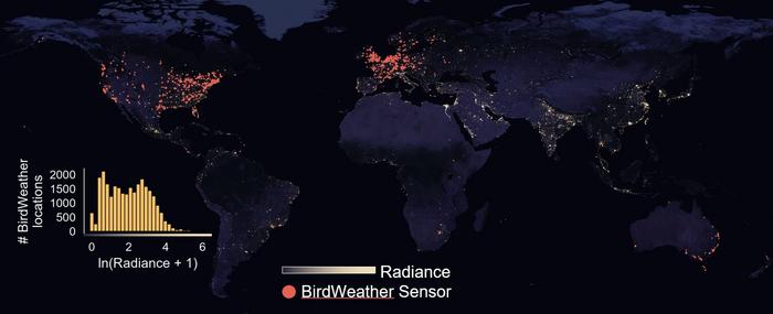 Bird calls and light pollution