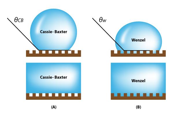 Wetting Transition
