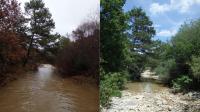 The Calavon River, a Mediterranean IRES