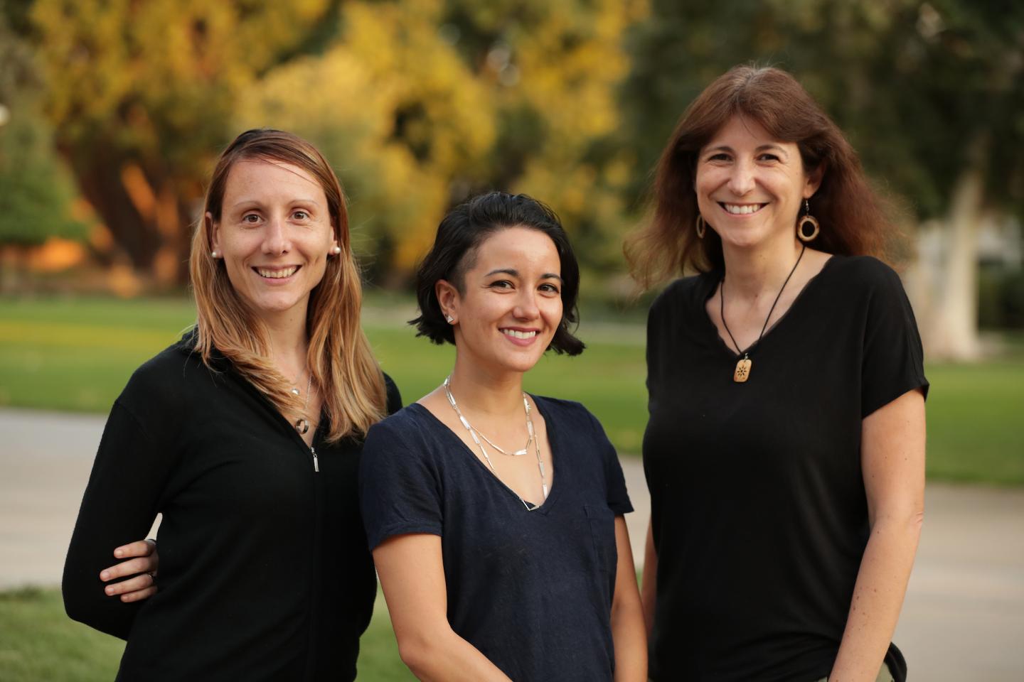 The Researchers
