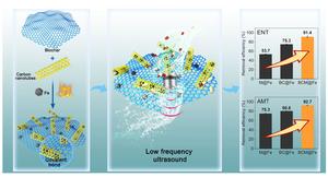 Sustainable removals of antibiotics via biochar-enhanced ultrasound cavitation effect: synergy of carbon nanotube bonded biochar@Fe3C composite and low frequency energy efficiency