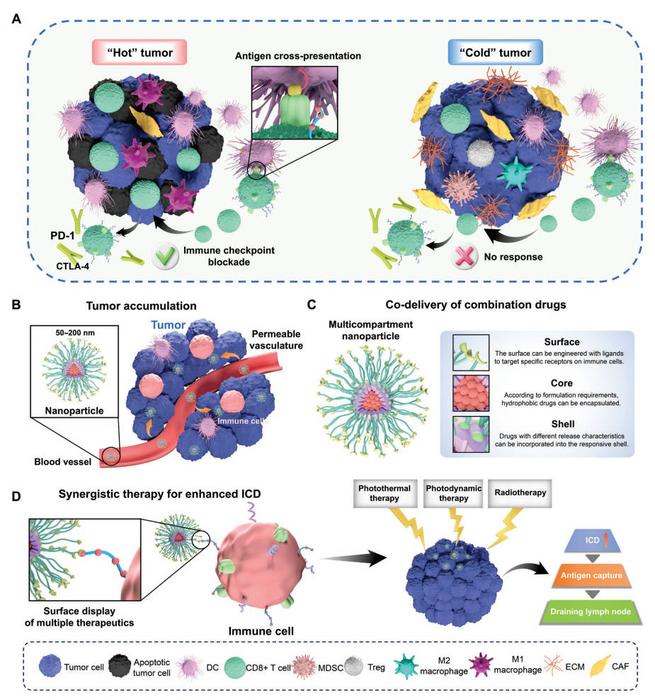 Overcoming immunotherapy resistance with smart nanocarriers.