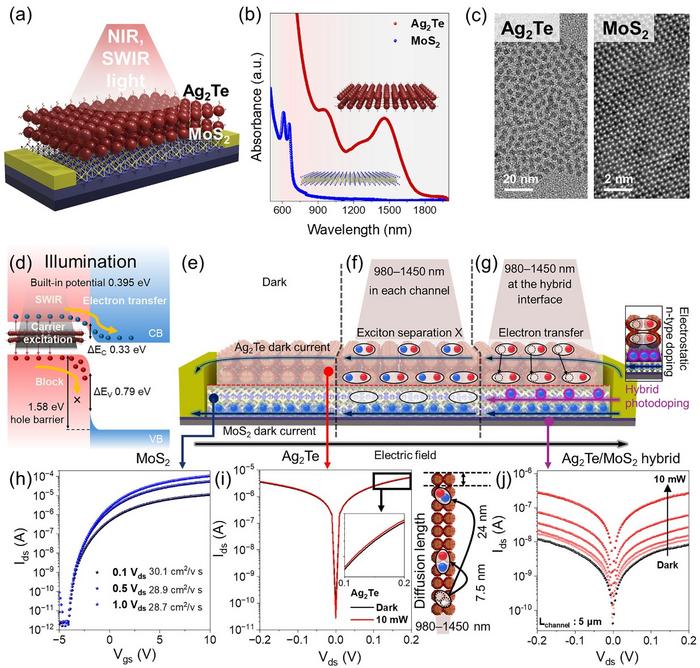 Conceptual diagram, optical properties, bandgap alignment of 0D-2D hybrid devices