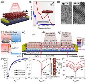 Conceptual diagram, optical properties, bandgap alignment of 0D-2D hybrid devices