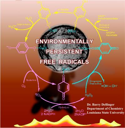 Persistent Free Radicals