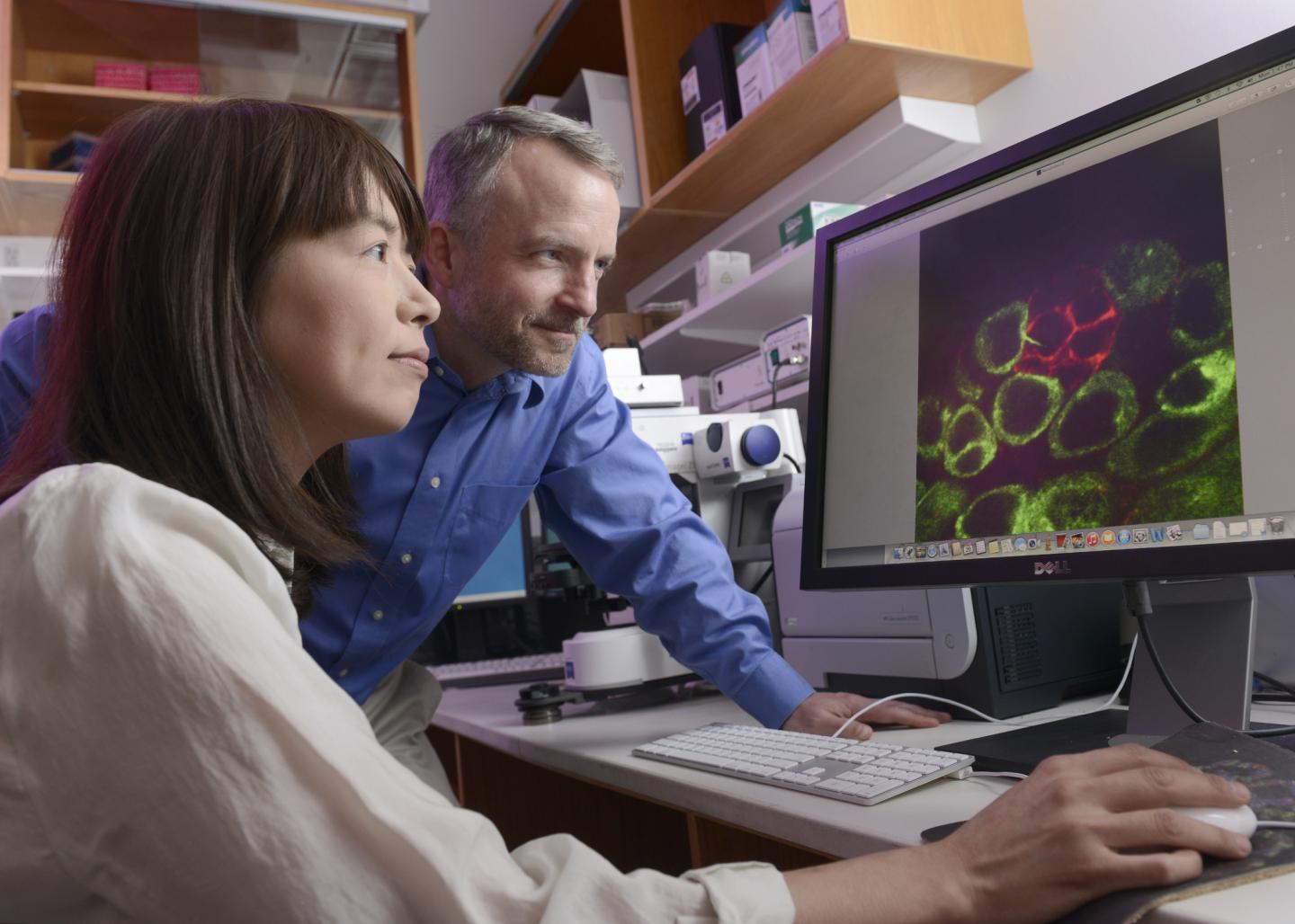 Mayu Inaba and Michael Buszczak, UT Southwestern Medical Center