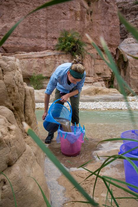Seed flotation at Wadi el-Hasa