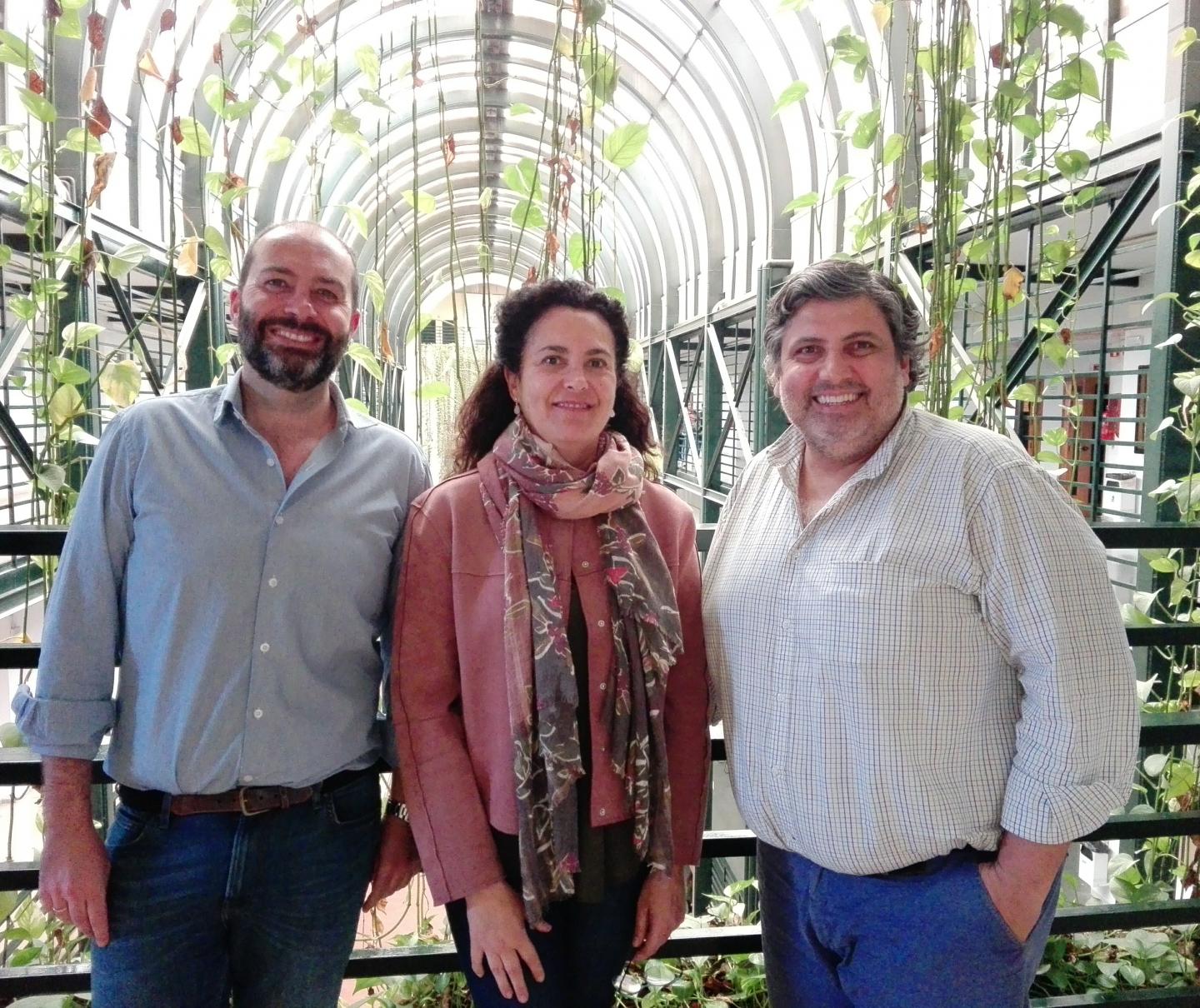Authors of the Study