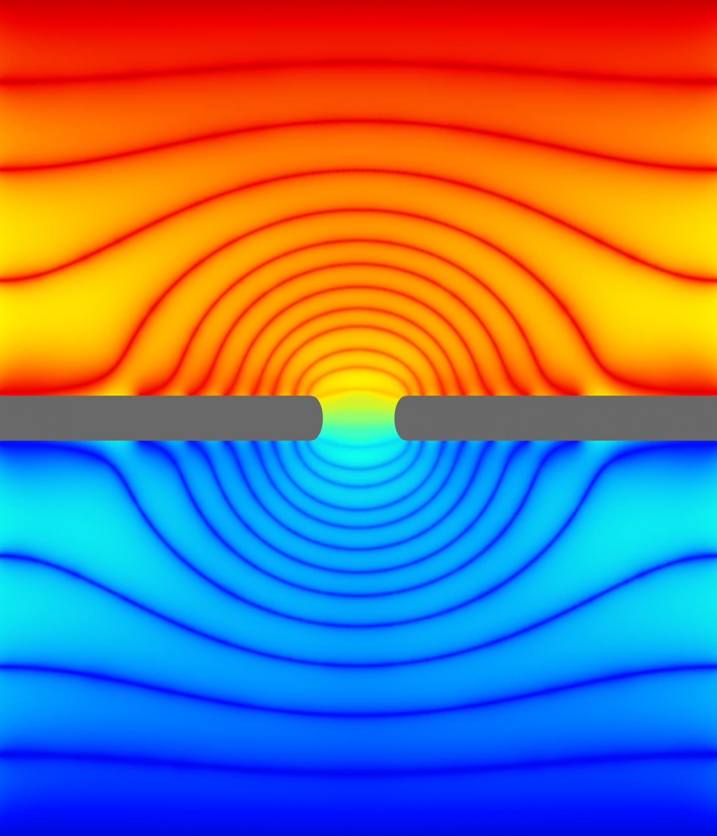 Ion Channel Simulation