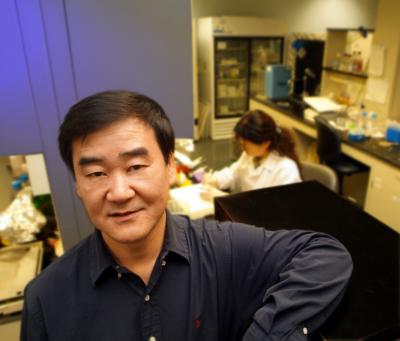 Small Protein May Have Big Role in Making More Bone and Less Fat