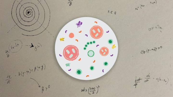 Math and Biology (Illustration)