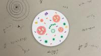 Math and Biology (Illustration)