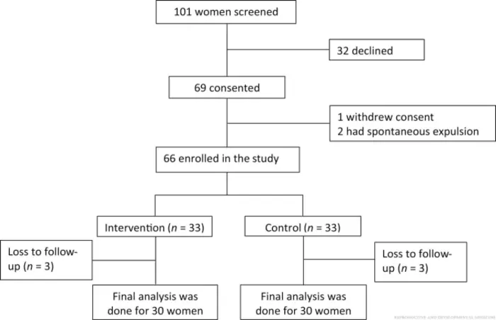 CONSORT flowchart for the present study.