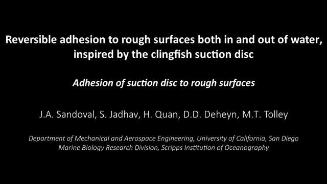 Suction Cup Lifts Rocks Underwater