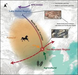 Neolithic Gene Flow and Cultural Interactions in the Yan Mountains Region