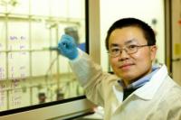 Yadong Yin, UC Riverside