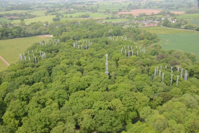 BIFor FACE facility -- Aerial View