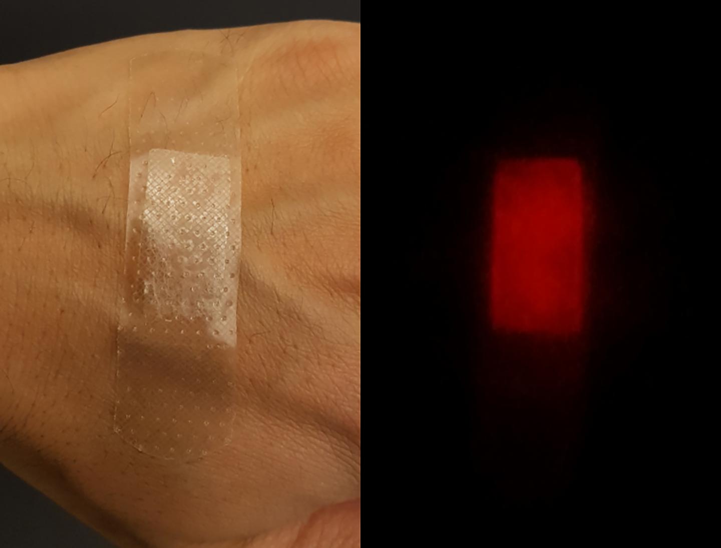 Silk Hybrid Bandage